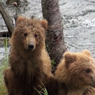 Screen Shot 2016-07-08 at 8.45.03 PM.jpg